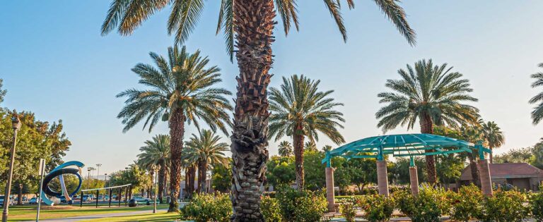 How the City of Palm Desert Created an Online Engagement Hub for its Residents Post Image