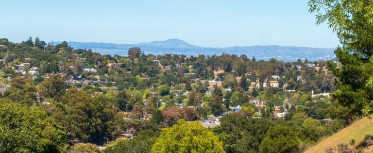 How a Bay Area City Streamlined the Reporting Experience for Residents with govService Post Image