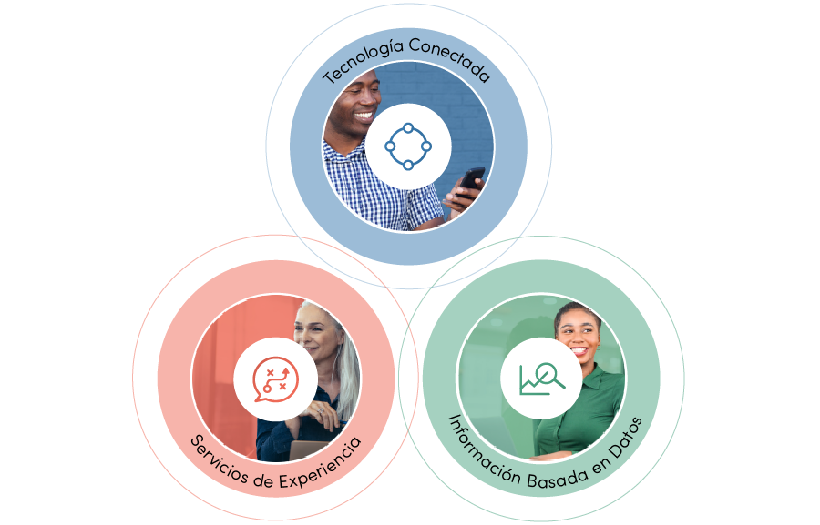Imágenes e íconos de los componentes clave de Government Experience Cloud.