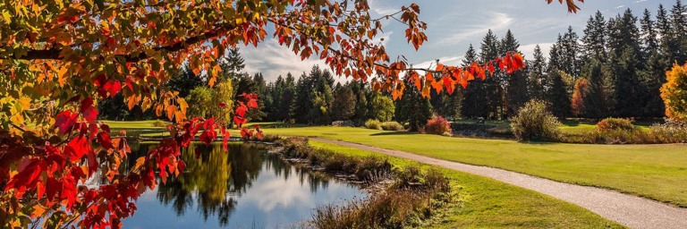 From paper to peak performance: Lynnwood, WA’s entirely online permitting process Post Image