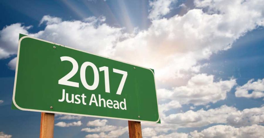 Spotlight on Success in 2017 image 2017