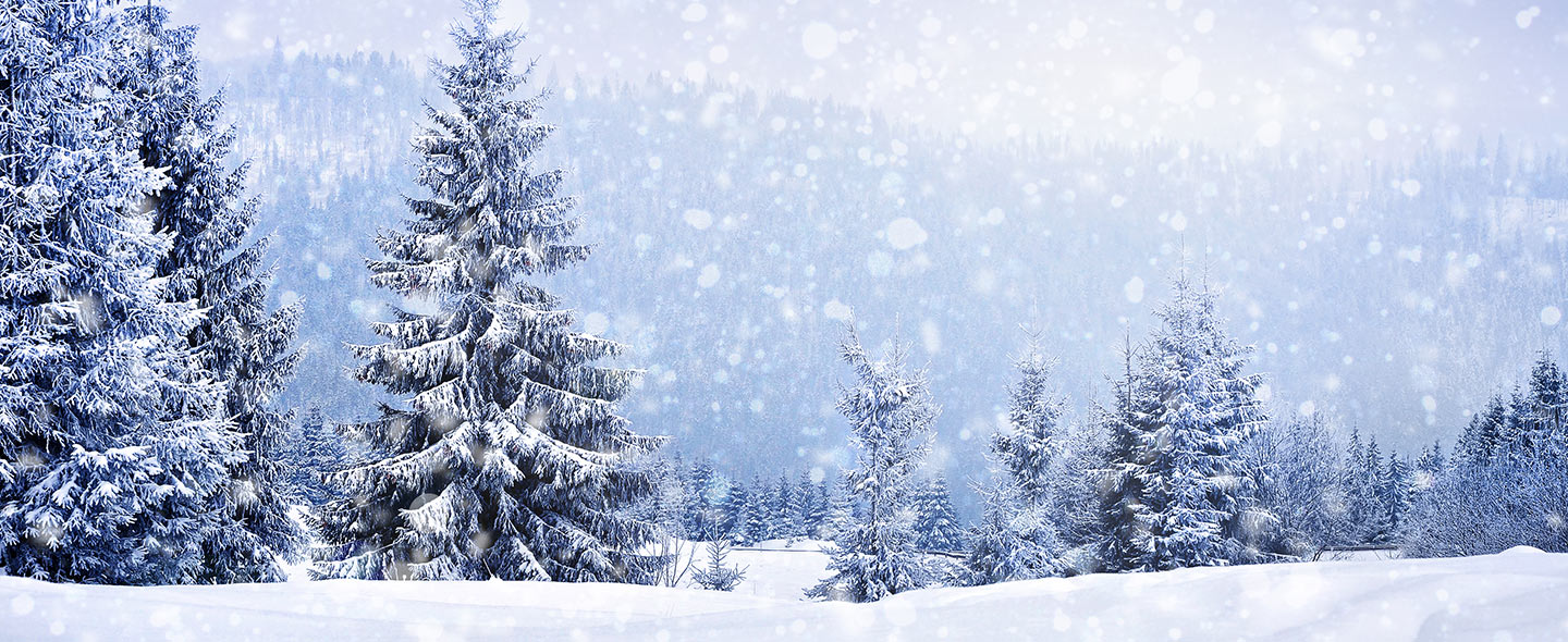 Thank a Clerk this Holiday Season