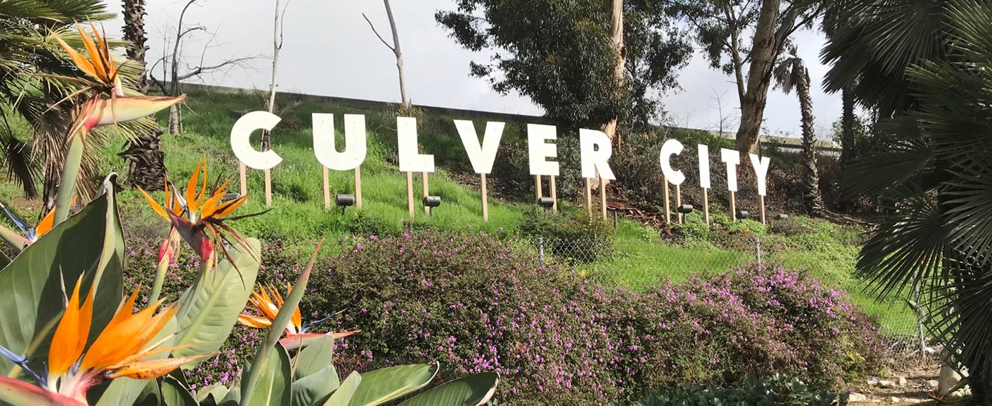 How One Local Gov Is Going Digital for Better Citizen Engagement