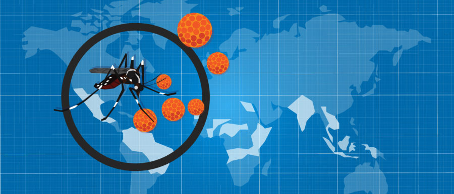 How the CDC Uses Text Messaging to Inform Travelers, Prevent Further Spread of Zika image zika zica virus masquito aedes aegypti spread pandemic aotubreak