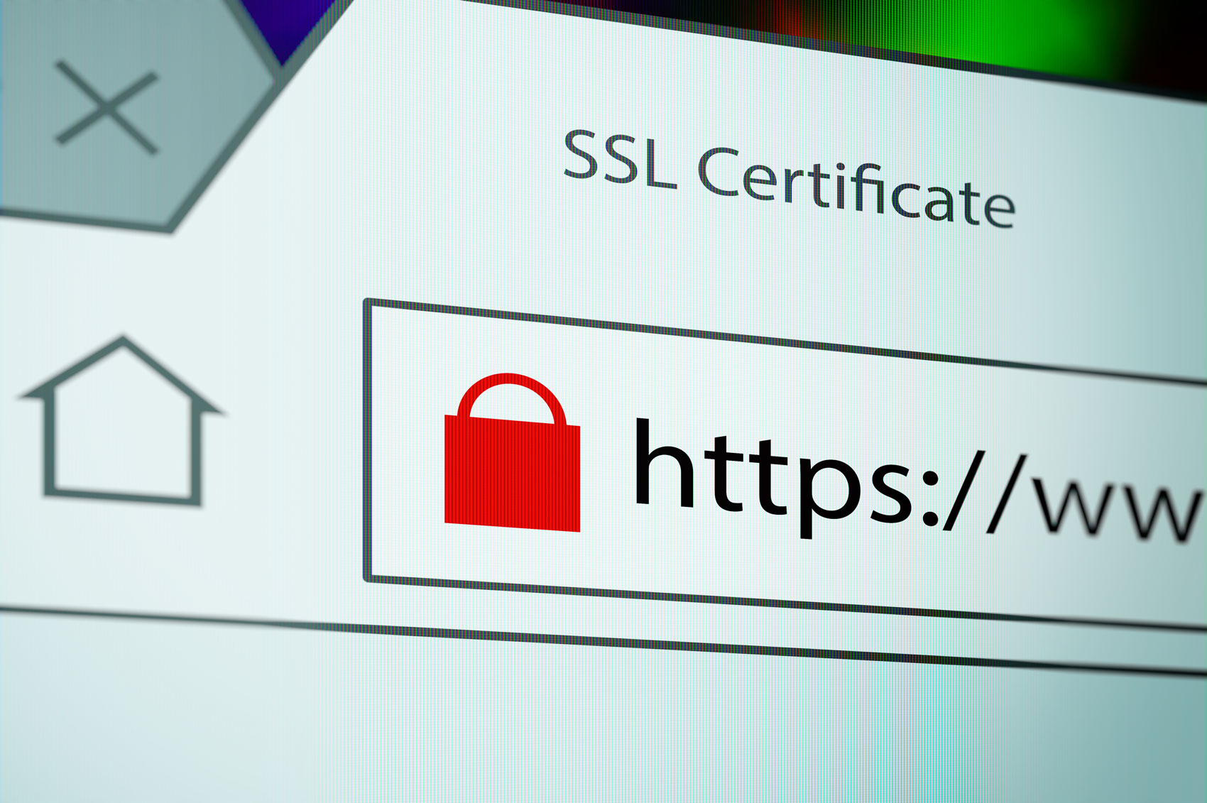 Does Your Government Website Use SSL? Here’s Why It Should.