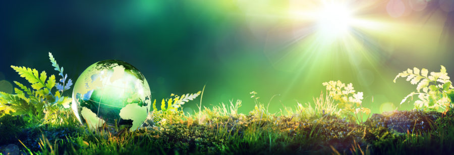 How Effective Communications on Earth Day Can Impact Change image Green Globe On Moss - Envinronmental Concept
