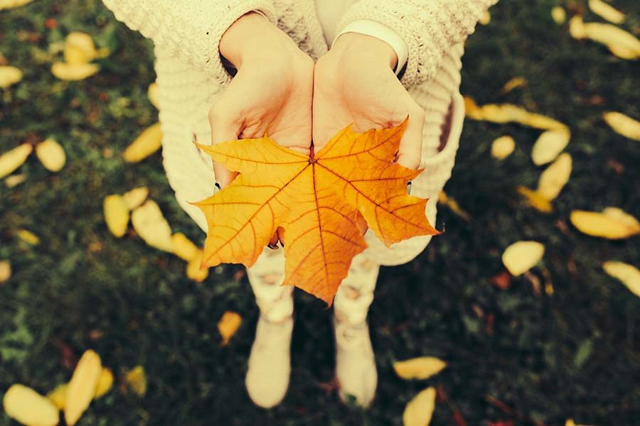 How Topics Like Fall Color Change Can Increase Your Impact image iStock_76605537_LARGE
