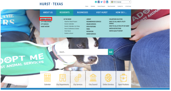 Hurst helps more shelter animals