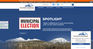 A screenshot of Silverthorne's website