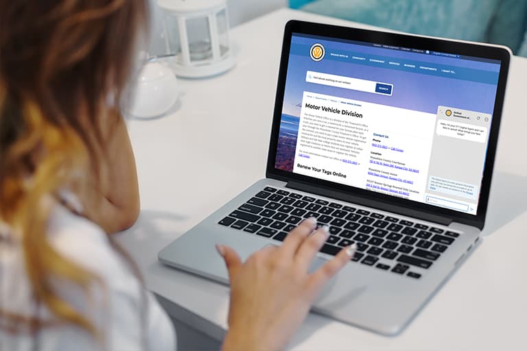 Person using a laptop to access a government motor vehicle division website, with a chat support window open on the screen.