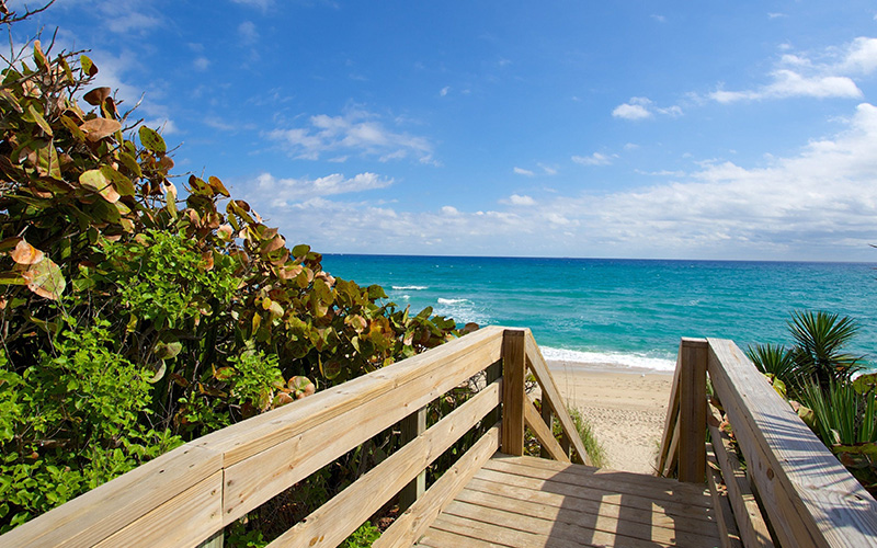 City Palm beach view